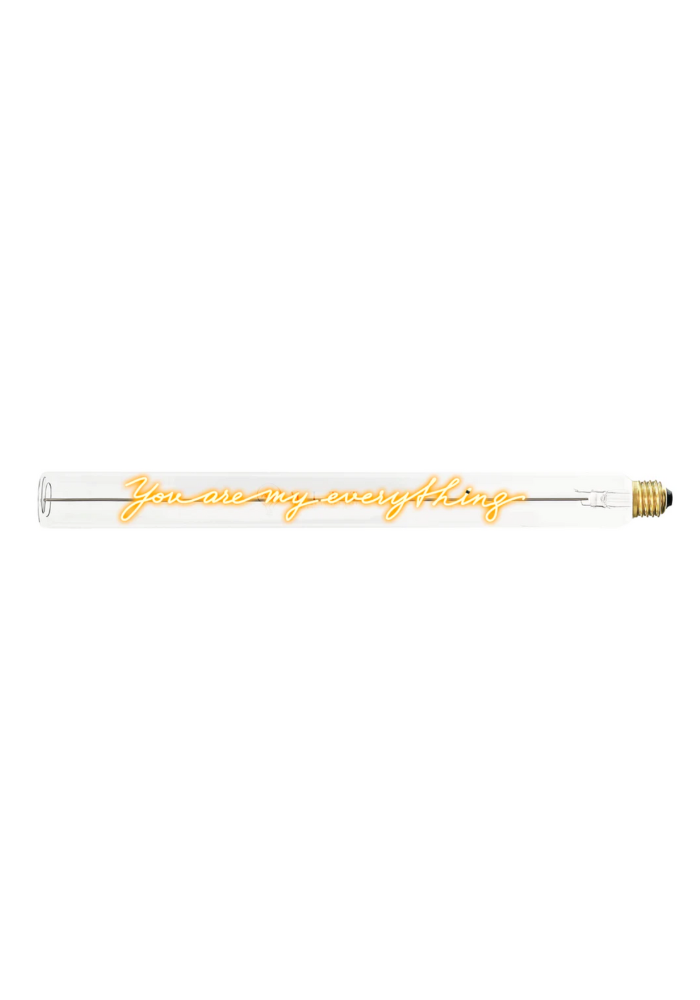 Ampoule You Are My Evertything - Blush Sélection Décoration