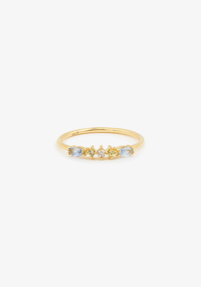 Bague Gaia 6 Givre - Sophie D'Agon