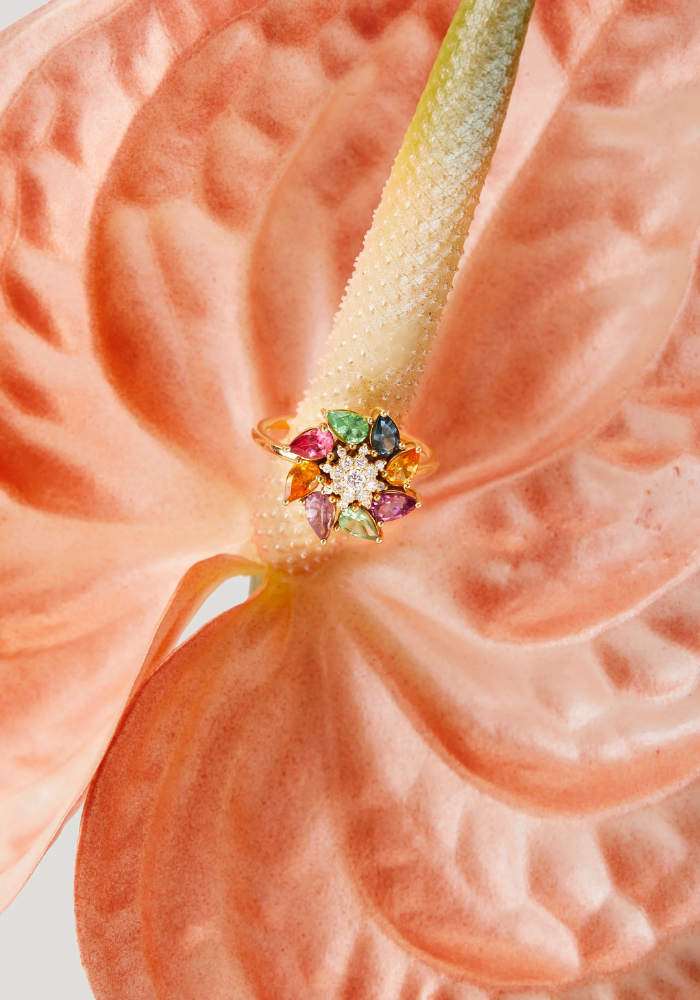 Bague Tourbillon S - Rosa Maïtea
