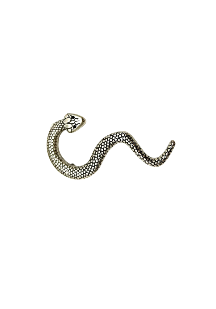 Boucle De Ceinture Serpent Strass Argenté - Yolete