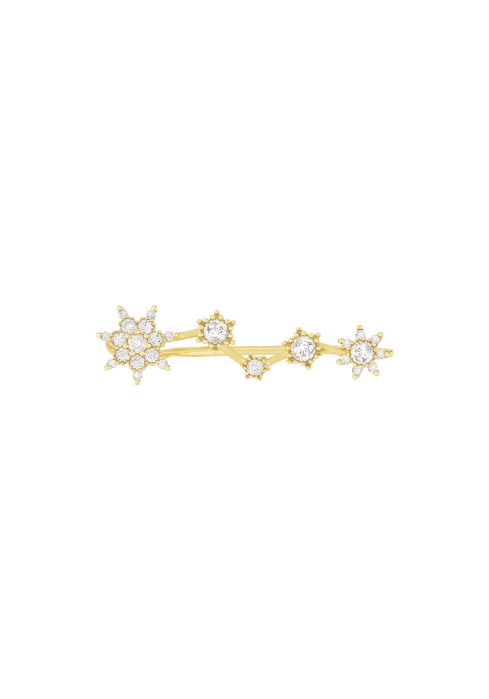 Boucle D'Oreille Jardin Cosmique - Rosa Maïtea