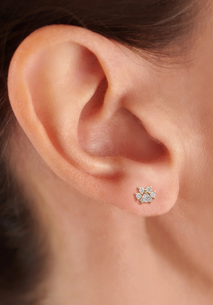 Boucle D'Oreille Patte De Chien - Little Ones Paris