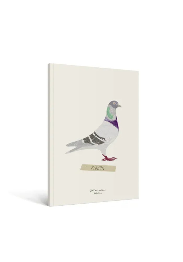 Carnet Oiseau - Maison D'Édition