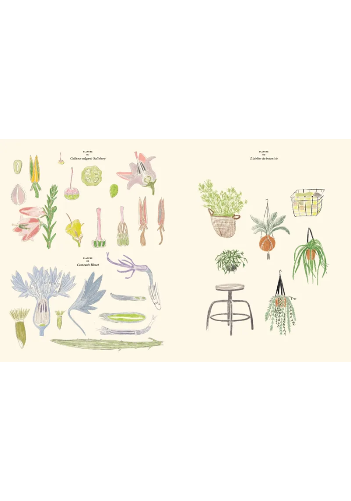 Livre De Coloriage Et Stickers Le Jardin - Maison D'Édition