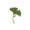 Green Ginkgo Leaf Brooch