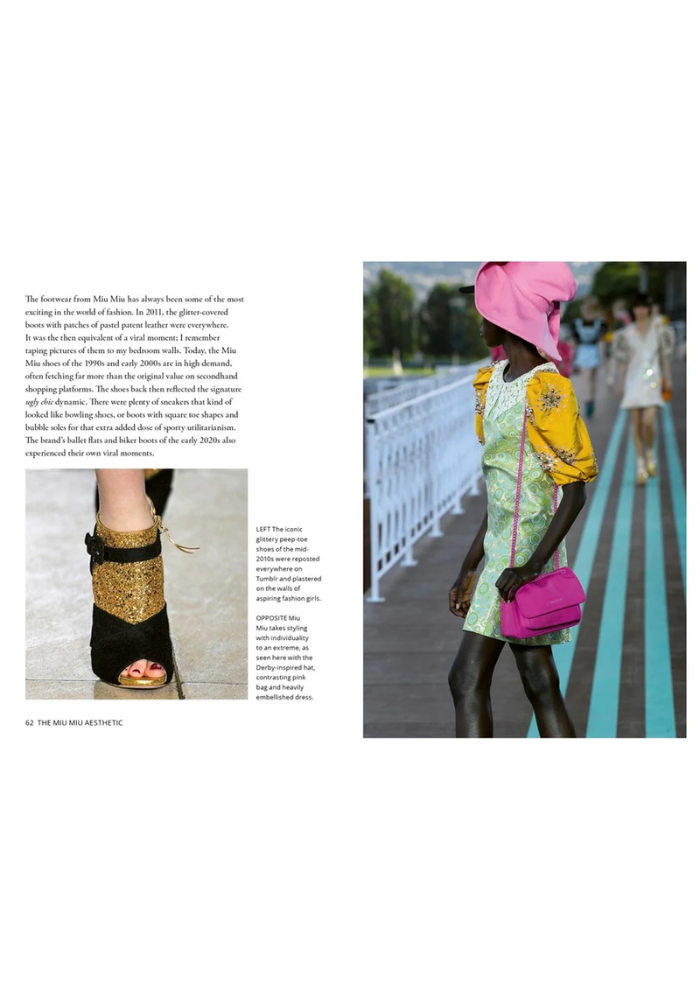 Livre Miu Miu Petit Format - Maison D'Édition