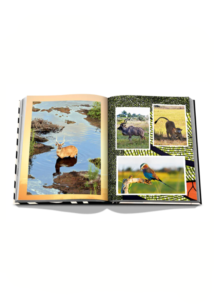 Livre African Adventures The Greatest Safari On Earth - Assouline