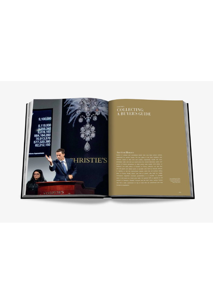 Livre Jewelry Guide The Ultimate Compendium - Assouline