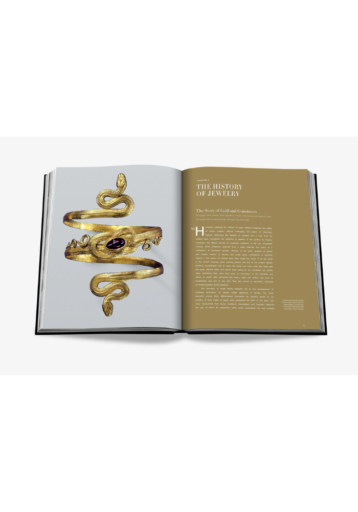 Livre Jewelry Guide The Ultimate Compendium - Assouline