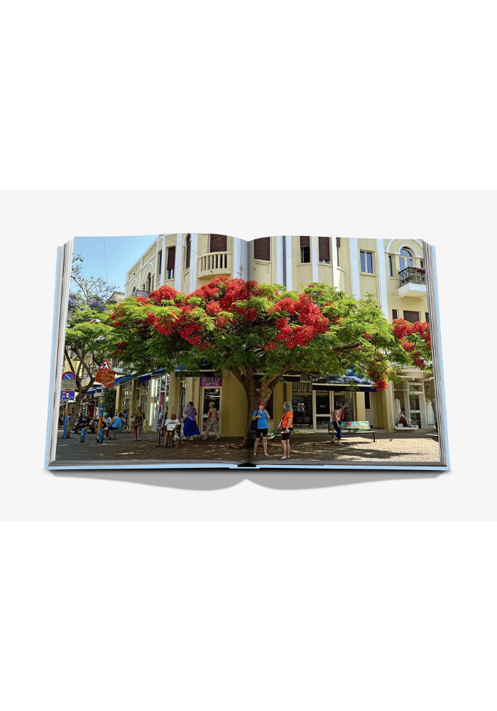 Livre Tel Aviv Spirit - Assouline