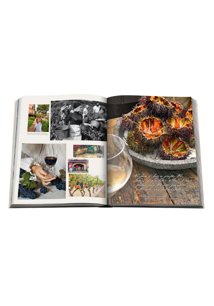 Livre Wine & Travel France - Assouline