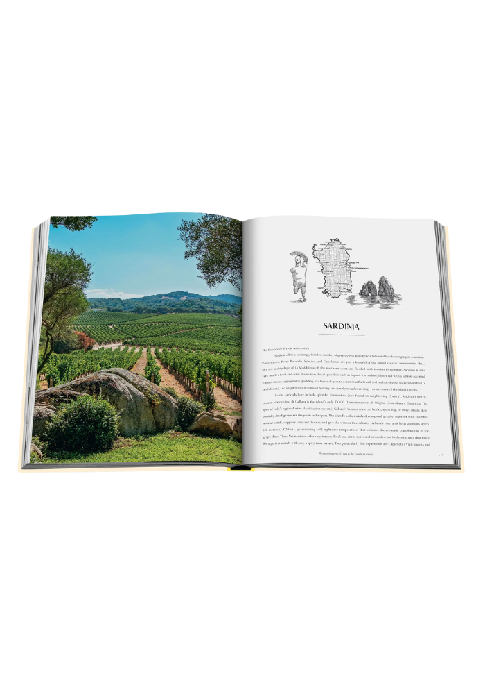 Livre Wine & Travel Mediterranean Islands - Assouline