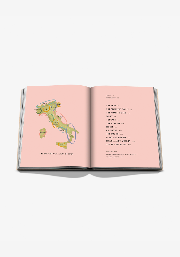 Livre Wine And Travel Italy - Assouline 