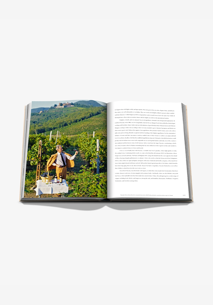 Livre Wine And Travel Italy - Assouline 