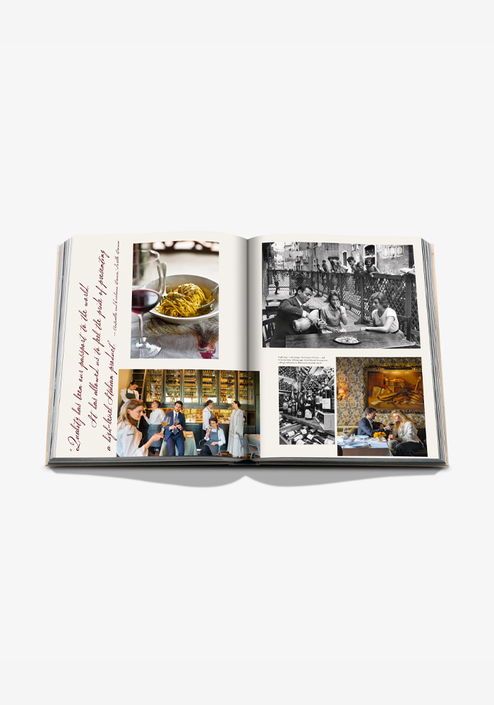 Livre Wine And Travel Italy - Assouline 