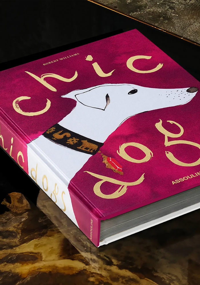 Livre Chic Dogs - Assouline