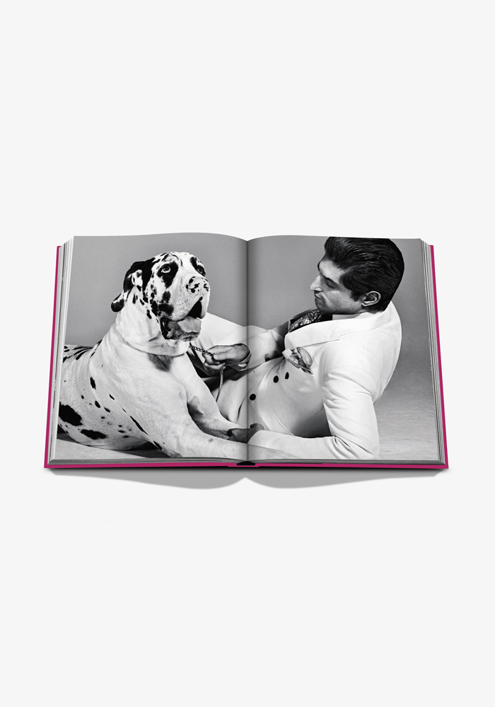 Livre Chic Dogs - Assouline