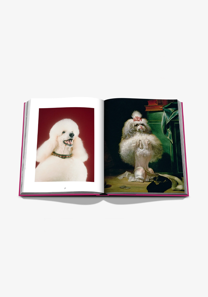 Livre Chic Dogs - Assouline