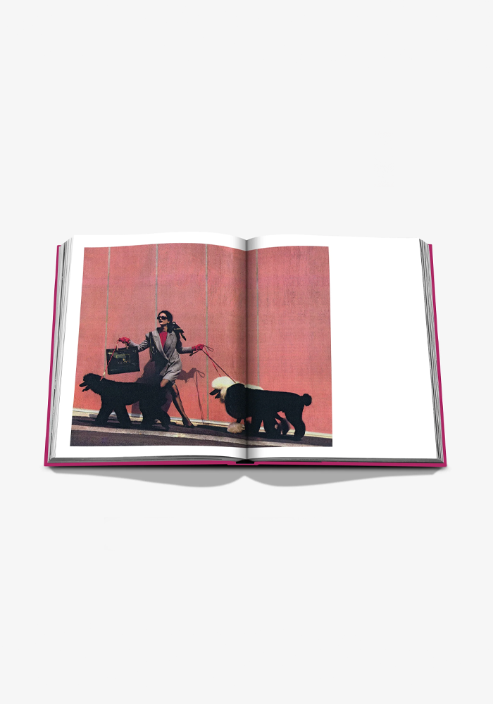 Livre Chic Dogs - Assouline