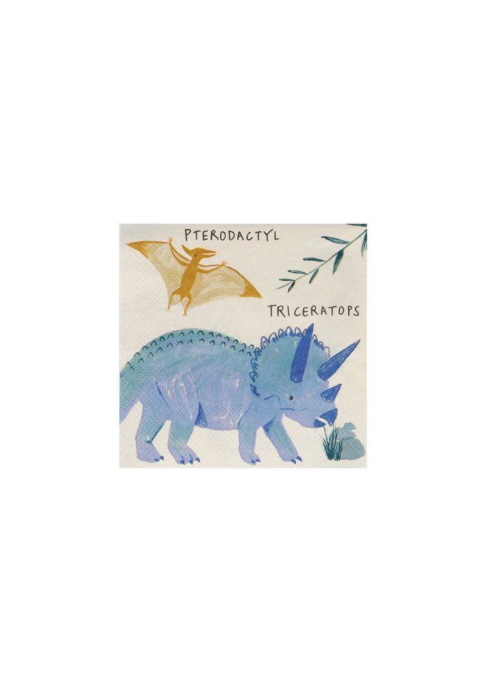 Lot De 16 Serviettes Dinosaures Petit Modèle - Meri Meri