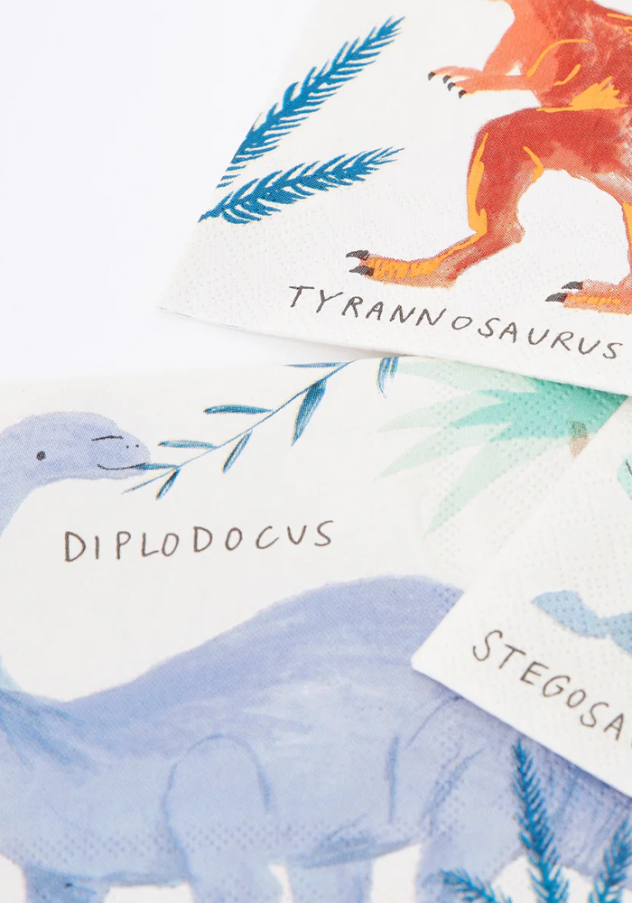 Lot De 16 Serviettes Dinosaures Petit Modèle - Meri Meri