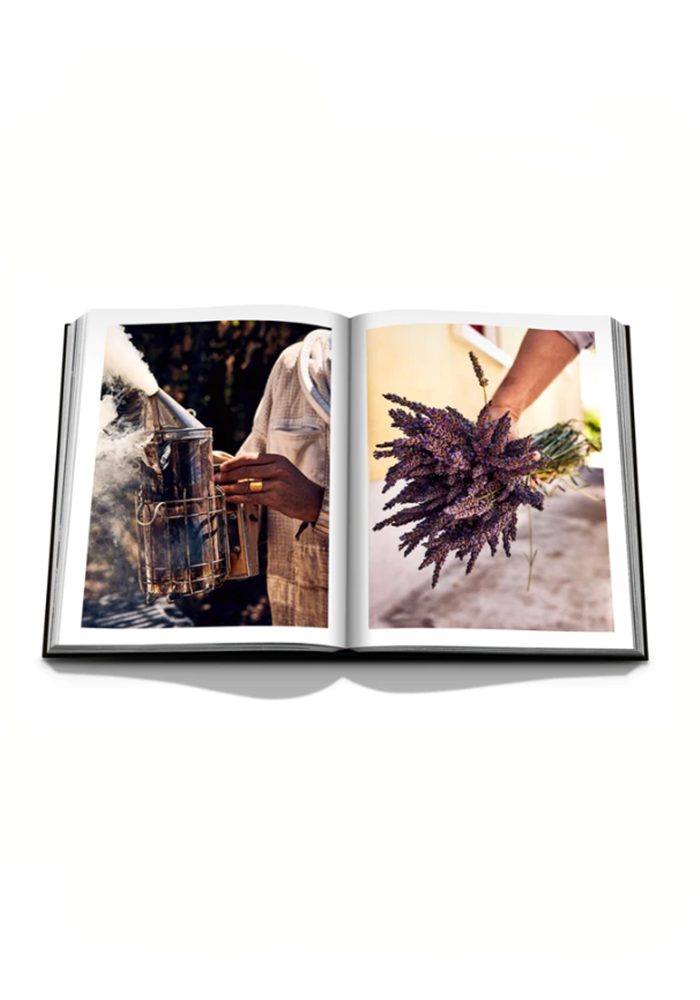 Louis Vuitton Manufactures book