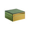 Iridescent Green Mirror Jewelry Box M