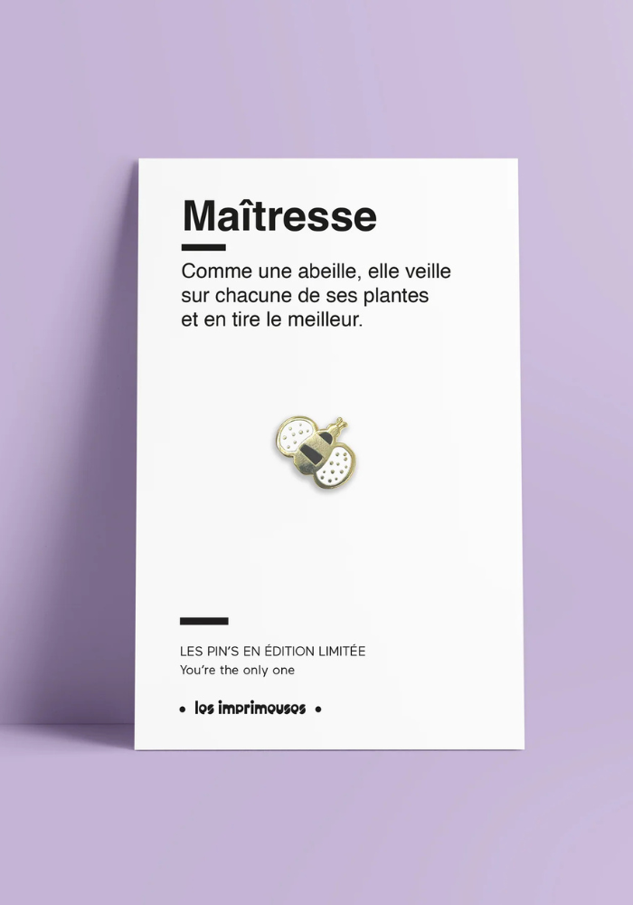 Pin's Abeille Maitresse