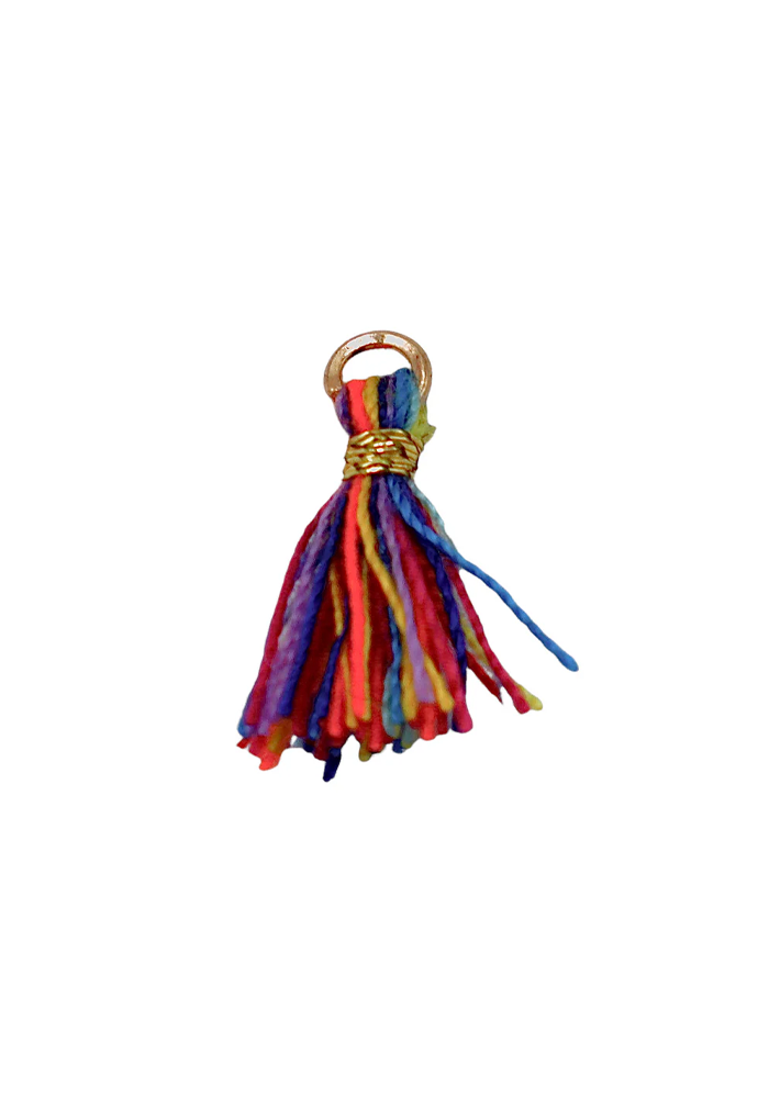 Charm Pompon Multicolore