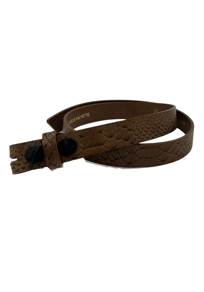Tige De Ceinture En Cuir Preto Python - Yolete