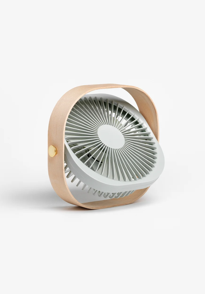 Ventilateur Portatif Fantastic Pistachio - Printworks
