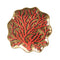 Vide-Poches Corail Sirena