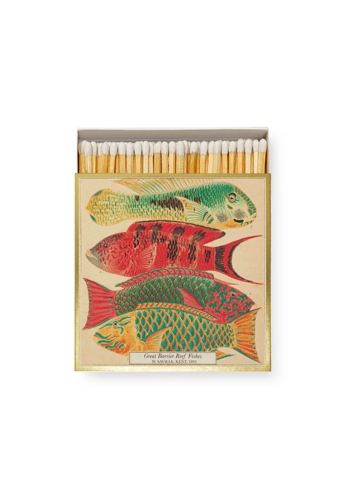 Boite Carrée De 125 Allumettes Natural History Museum Fish - Archivist Limited