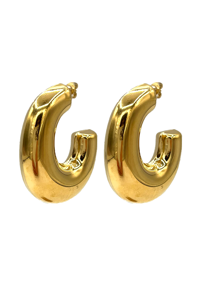 Harry Gold Earrings