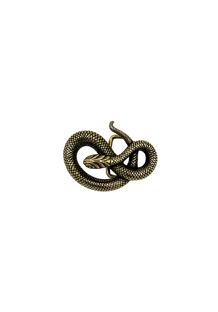 Boucle De CeintureSerpent Enroulé Doré - Yolete