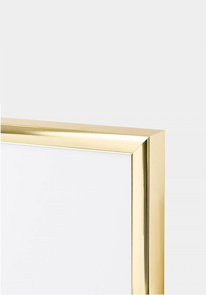 Gold Aluminum Frame