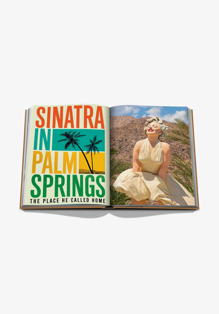 Livre Palm Springs - Assouline