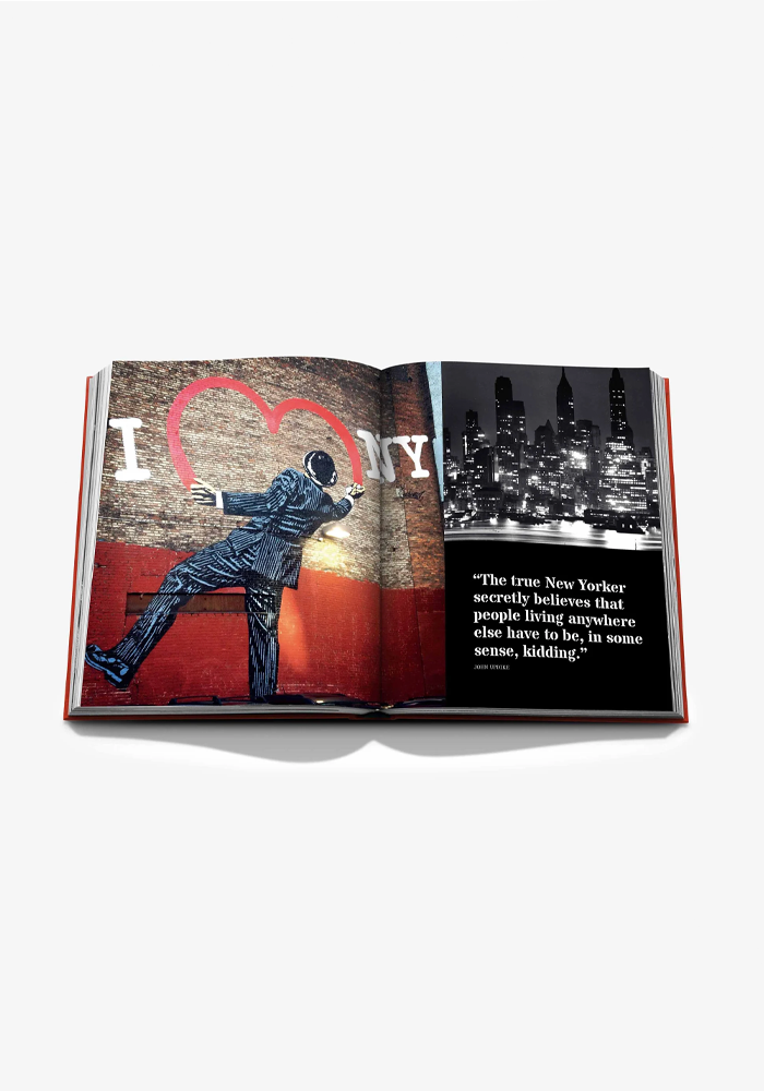 Livre New York By New York - Assouline