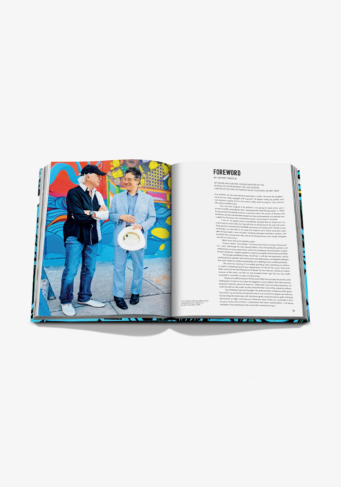 Livre Street Art Icons The Story Of Wunswood Wall - Assouline