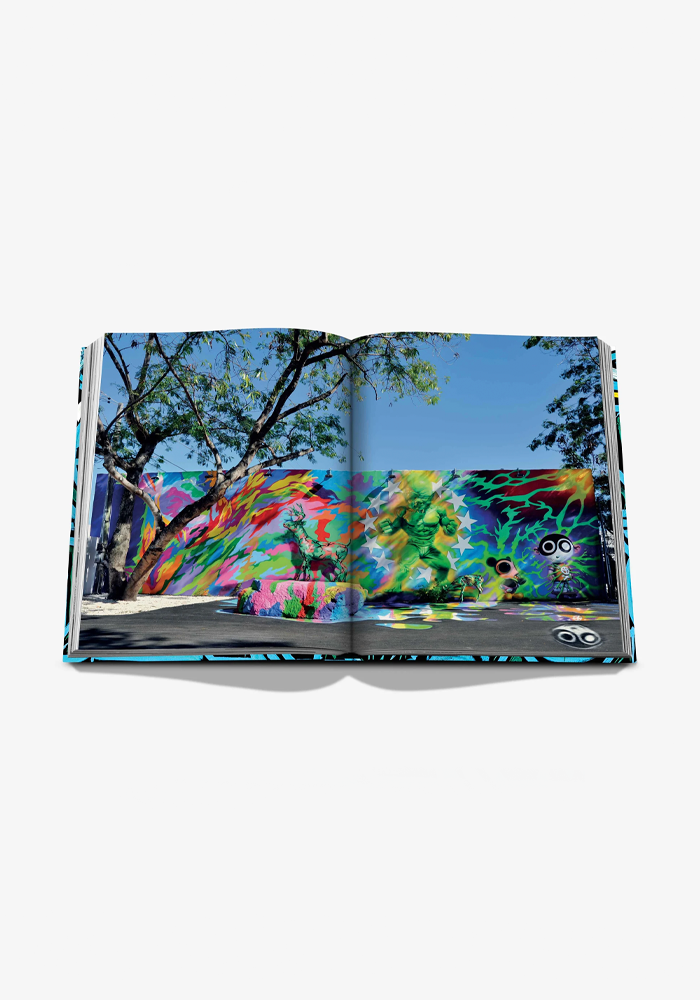 Livre Street Art Icons The Story Of Wunswood Wall - Assouline