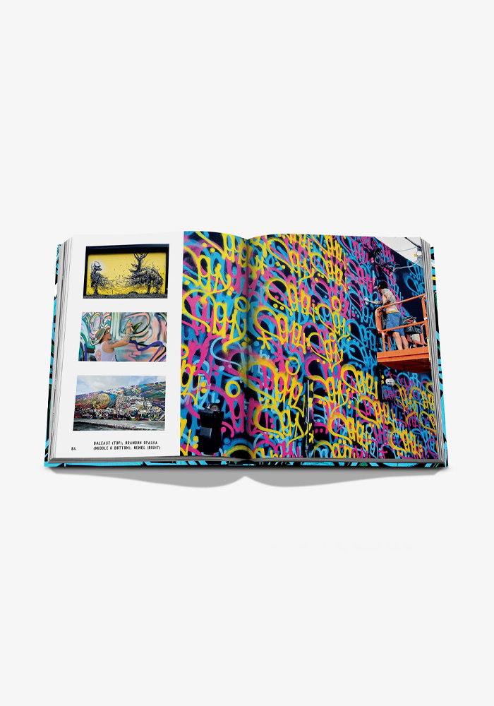 Livre Street Art Icons The Story Of Wunswood Wall - Assouline