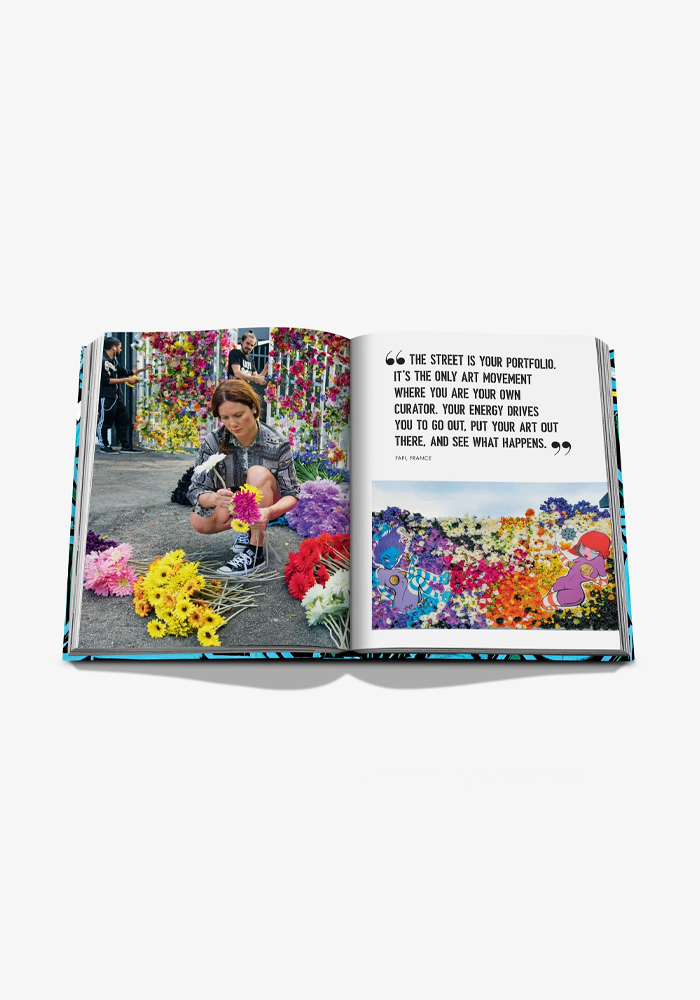 Livre Street Art Icons The Story Of Wunswood Wall - Assouline