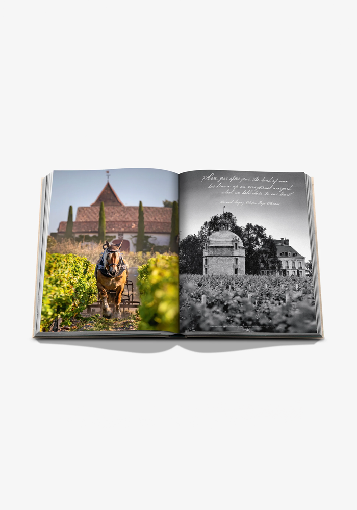 Livre Wine And Travel France - Assouline