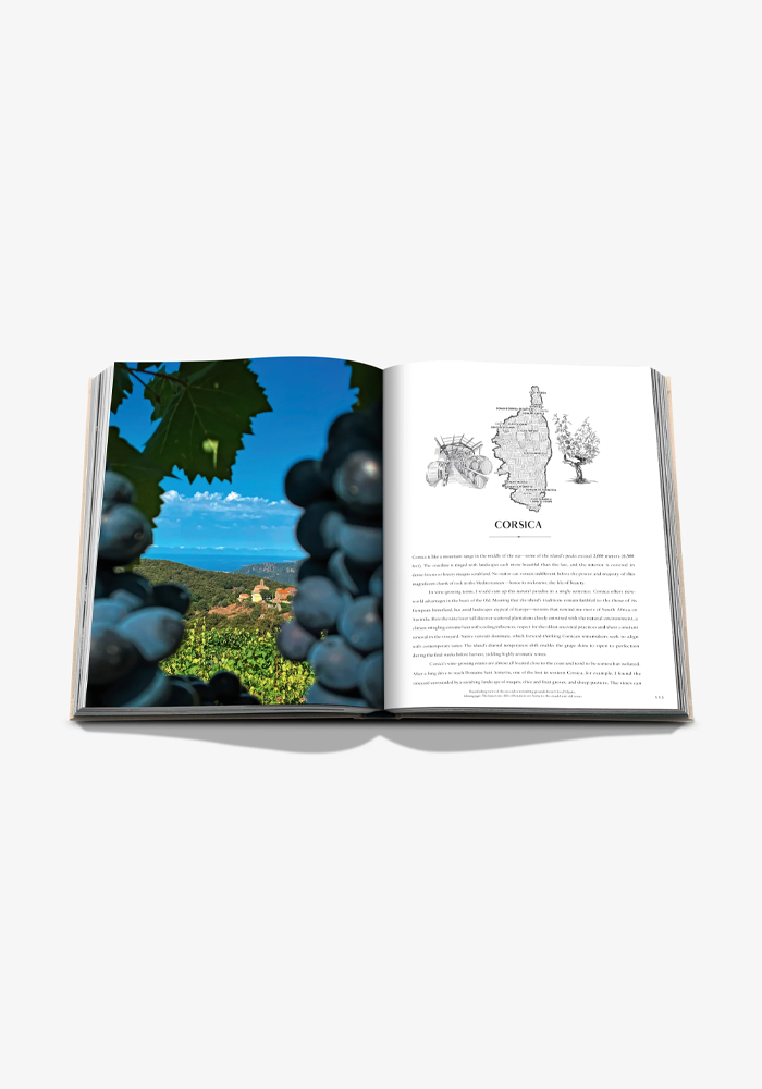 Livre Wine And Travel France - Assouline