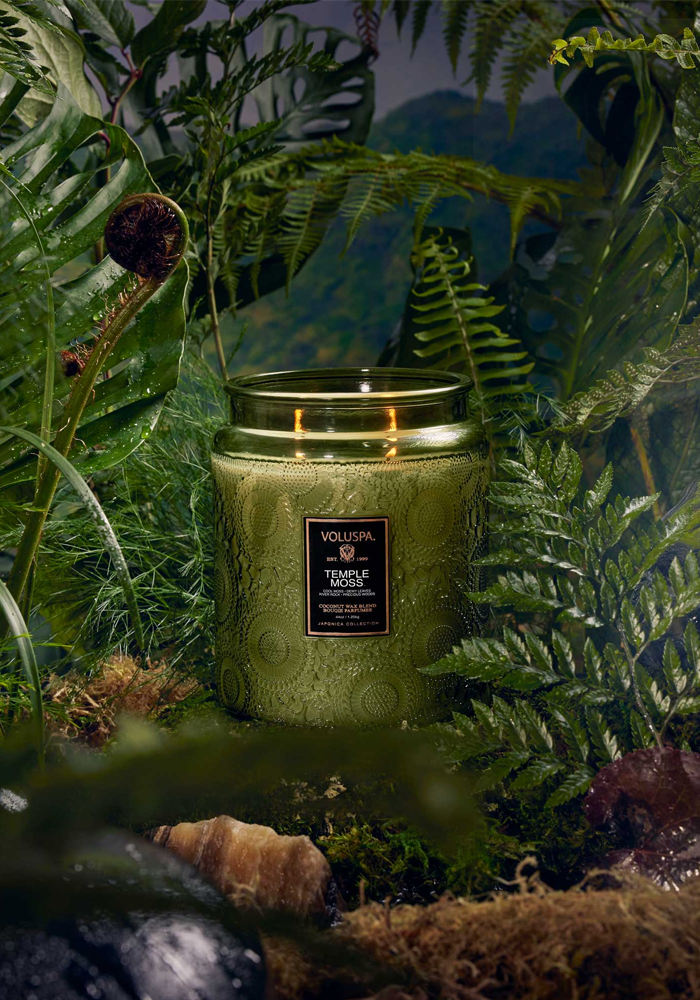 Bougie Luxe Jar Temple Moss - Voluspa