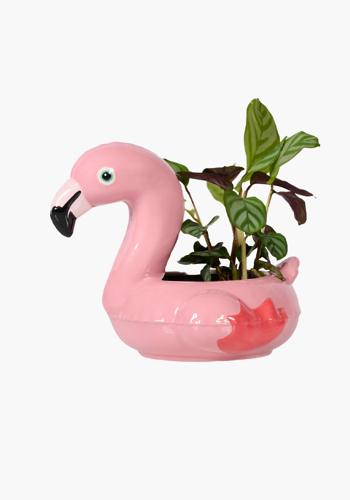 Pot Bouée Flamant Rose - Bitten