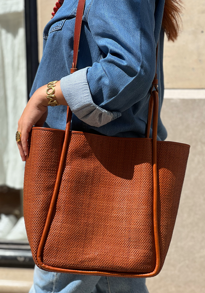 Sac Ana Tan - Dragon Diffusion