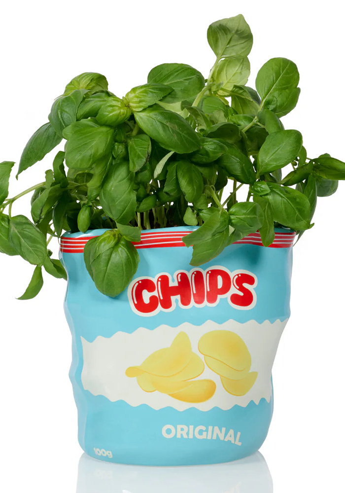 Pot Sachet De Chips - Bitten