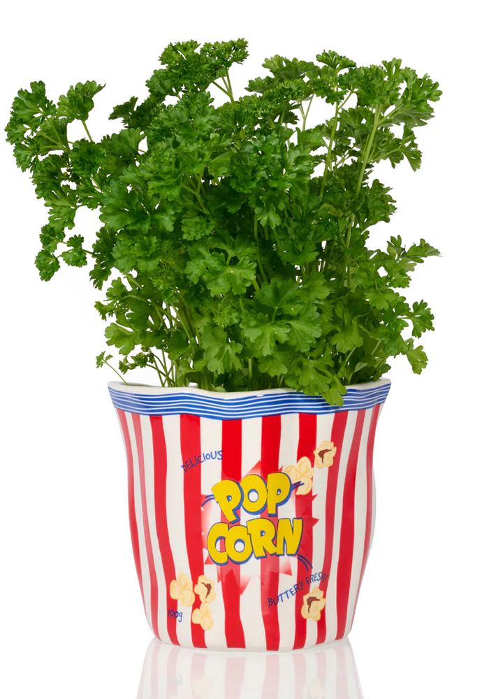 Pot Sac De Popcorn