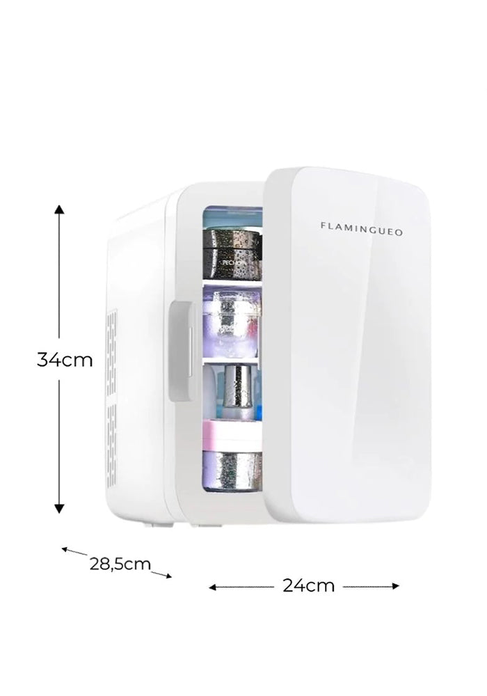 Mini réfrigérateur portatif de beauté professionnelle 13L pour les  cosmétiques de soins de la peau petit intelligent